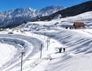 auli