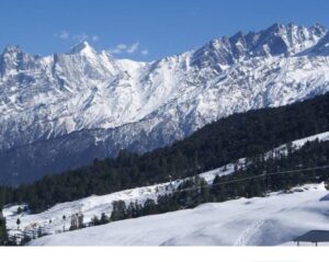 Auli