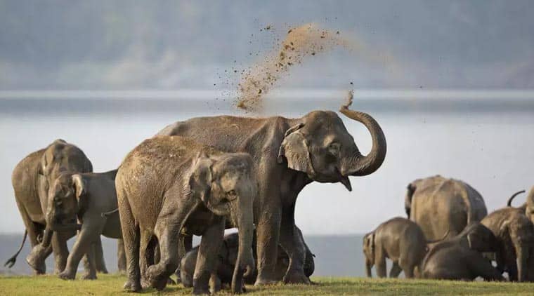 Rajaji National Park