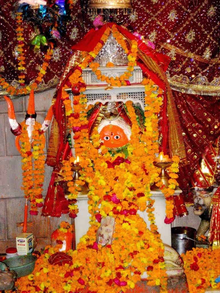 Maa mansa devi